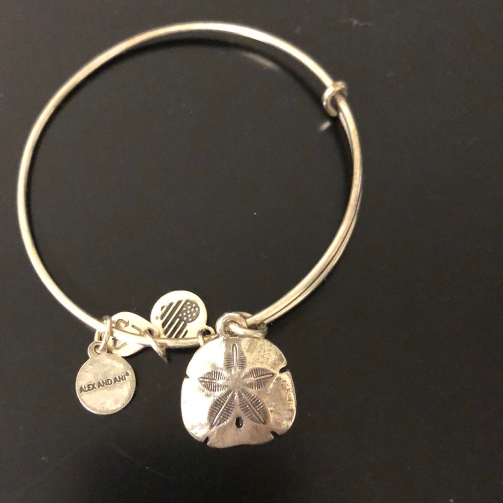 Alex and Ani silver bracelet